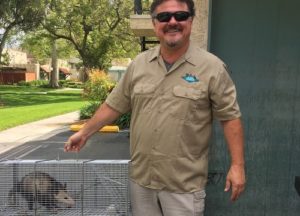 A man holding cage with opossum inside