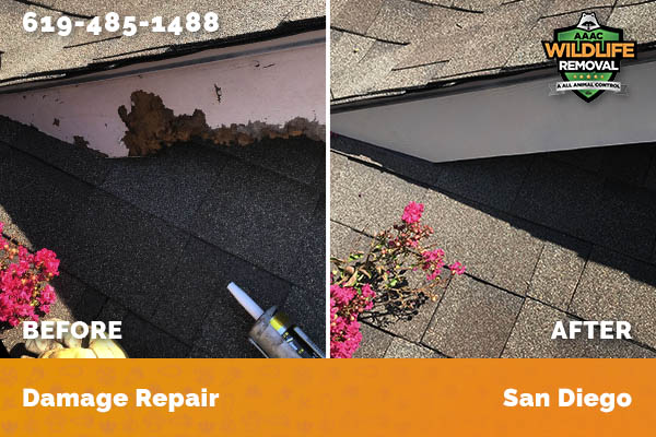 Damage Repair San Diego