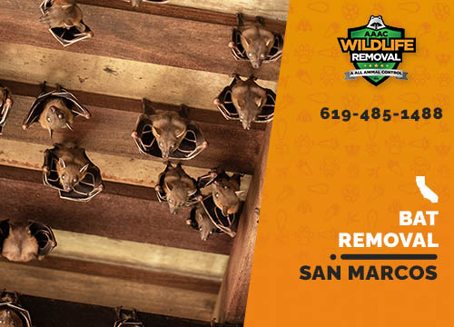 Bat Removal San Marcos