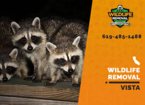 Wildlife Removal Vista