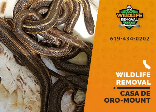 Casa de Oro-Mount Helix Wildlife Removal professional removing pest animal