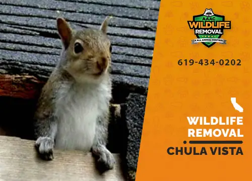 Chula Vista Wildlife Removal professional removing pest animal
