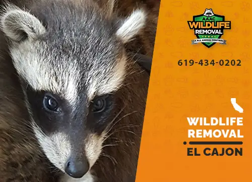 El Cajon Wildlife Removal professional removing pest animal