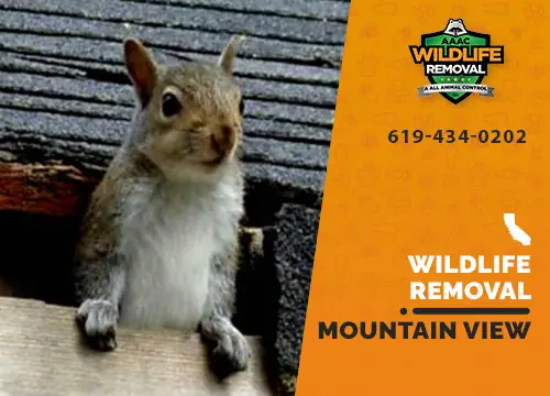 Mountain View Wildlife Removal professional removing pest animal