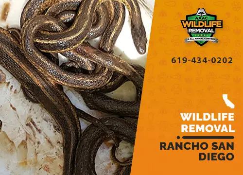 Rancho San Diego Wildlife Removal professional removing pest animal