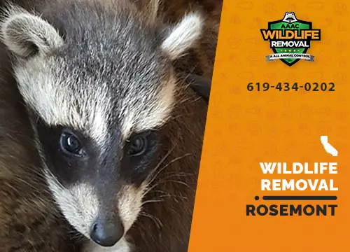 Rosemont Wildlife Removal professional removing pest animal