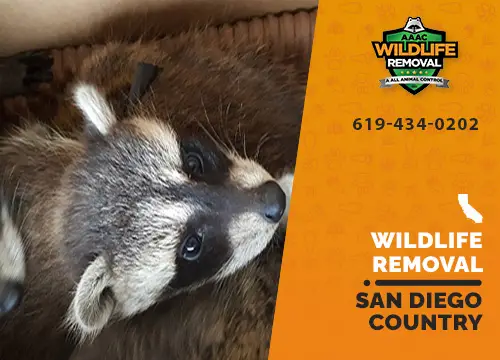 San Diego Country Estates Wildlife Removal professional removing pest animal