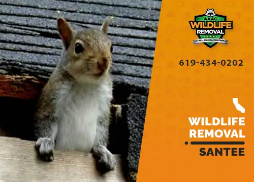 Santee Wildlife Removal professional removing pest animal
