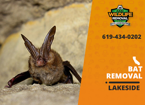Bat Removal Lakeside