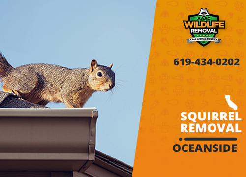 Squirrel Removal Oceanside