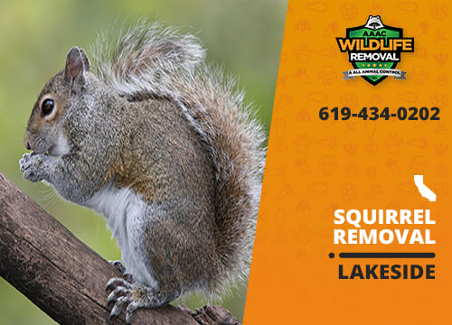 Squirrel Removal Lakeside