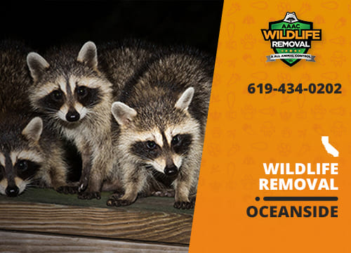 Wildlife Removal Oceanside CA AAAC Wildlife Removal of San Diego