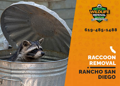 Raccoon Removal Rancho San Diego