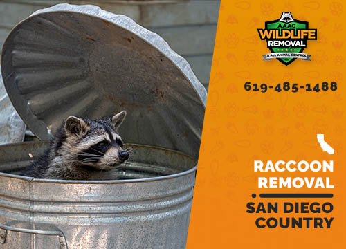 Raccoon Removal San Diego Country Estates