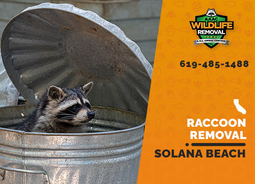 Raccoon Removal Solana Beach